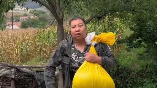 东北于姐最新爆料,娱乐圈幕后真相大曝光！